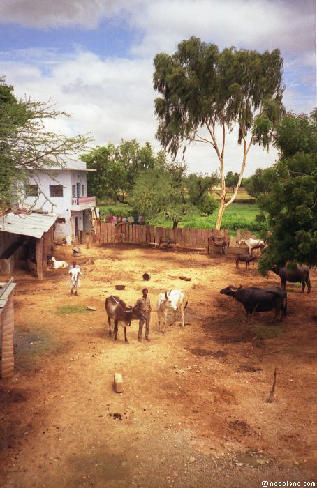 Makrana - India