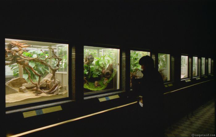 Valentine at the Jardin des Plantes - Paris