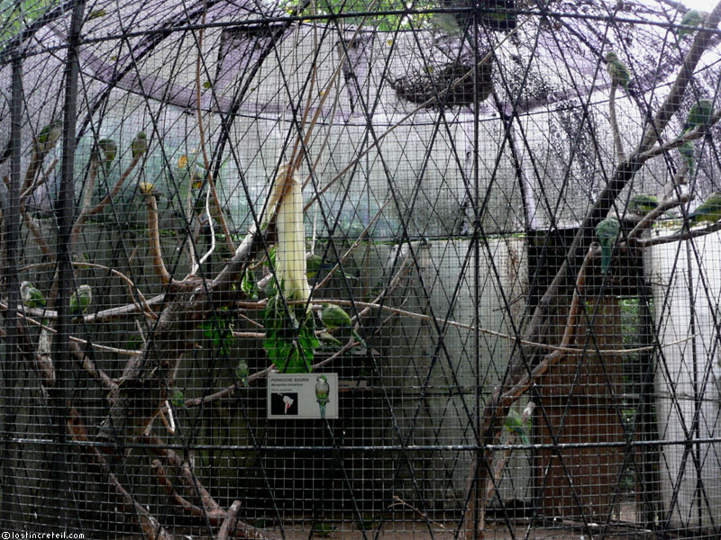 Bird Cage - Menagerie du Museum National d'Histoire Naturelle - Paris