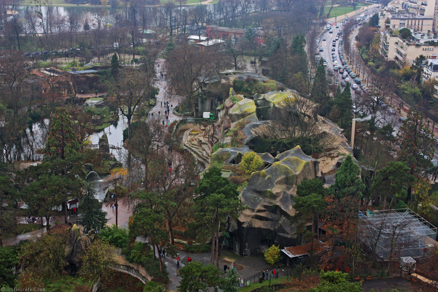 Vincennes zoo, Paris, the day before  it closed