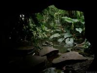 Jardin des Plantes - Paris