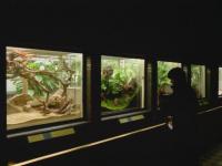 Valentine at the Jardin des Plantes - Paris