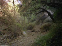 Santa Monica Mountains - Los Angeles