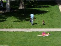 Parc de Bercy, Paris