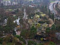 Vincennes zoo, Paris, the day before  it closed