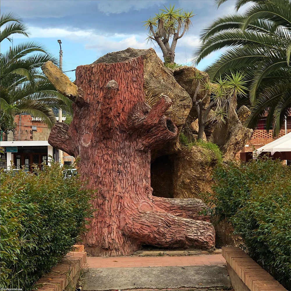 Tree, Boyaca, Colombia.
