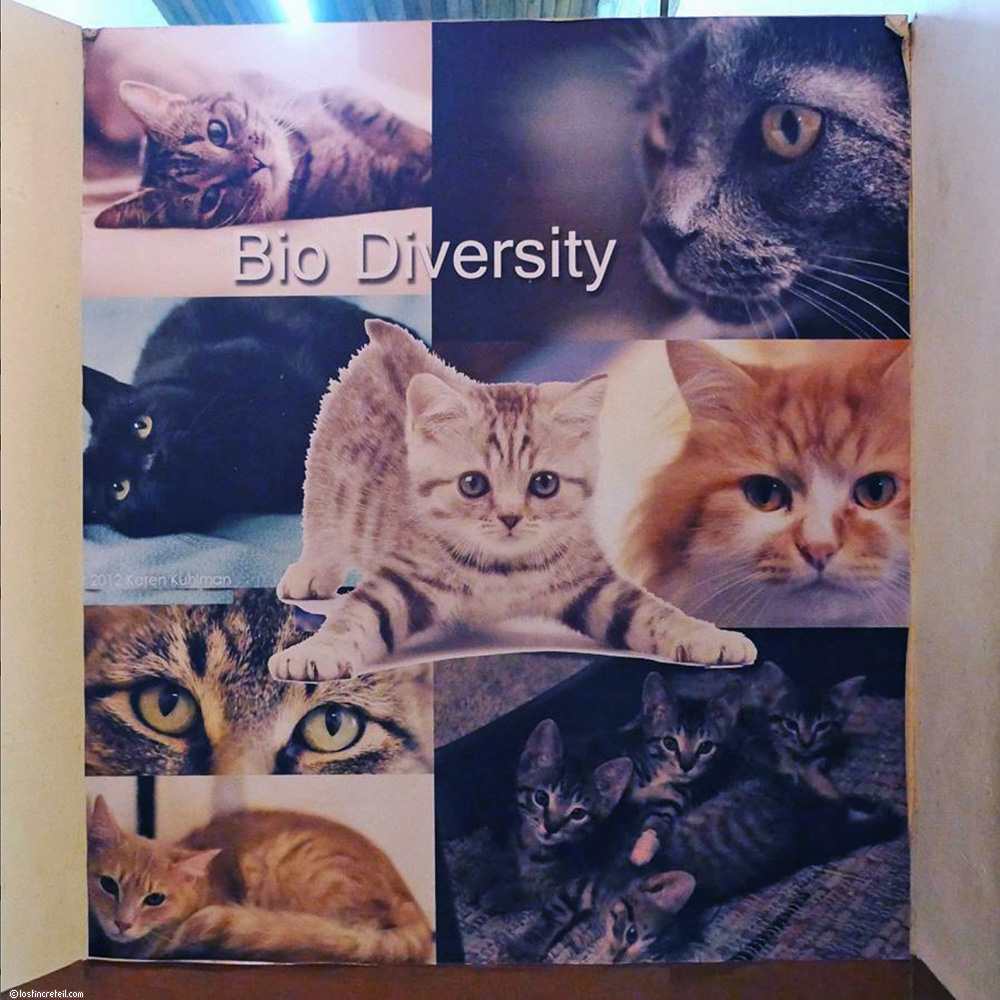 Bio-diversity