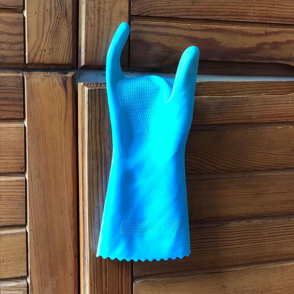 Glove