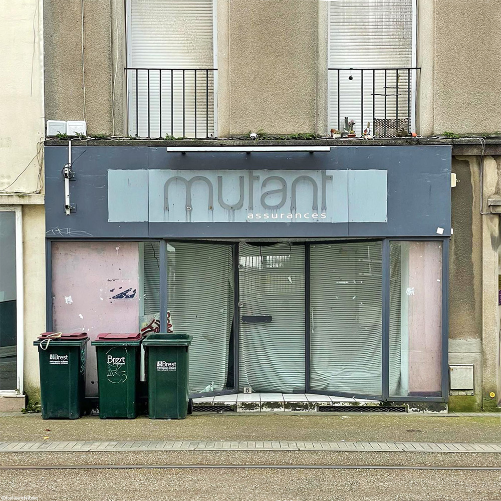 Mutant insurance, Brest, France