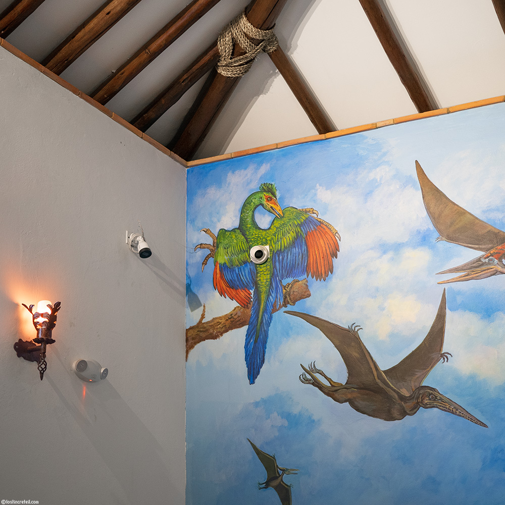 Cameras and prehistorical birds, Boyaca, Colombia