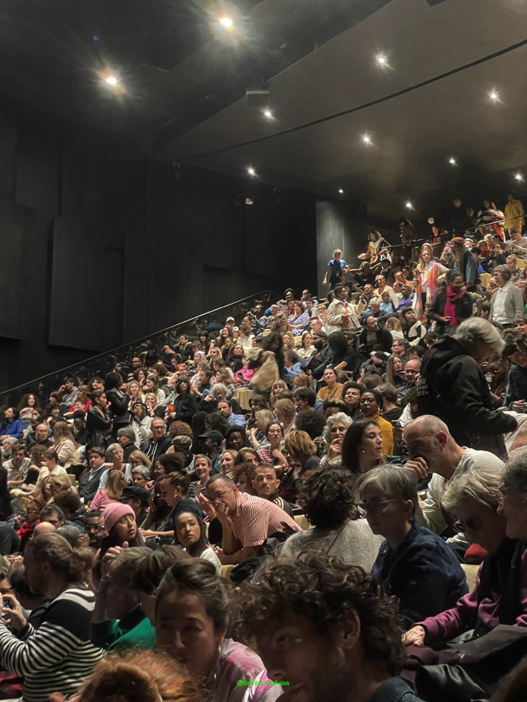 Crowd gathered for Angela Davis, Paris