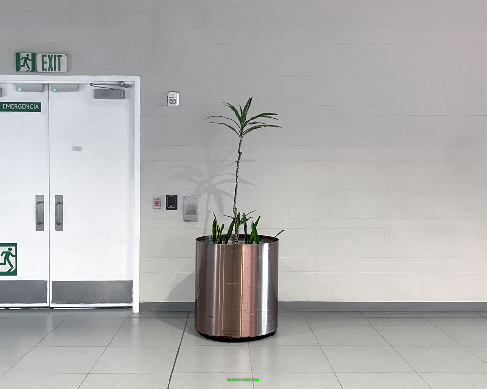 Bogota airport