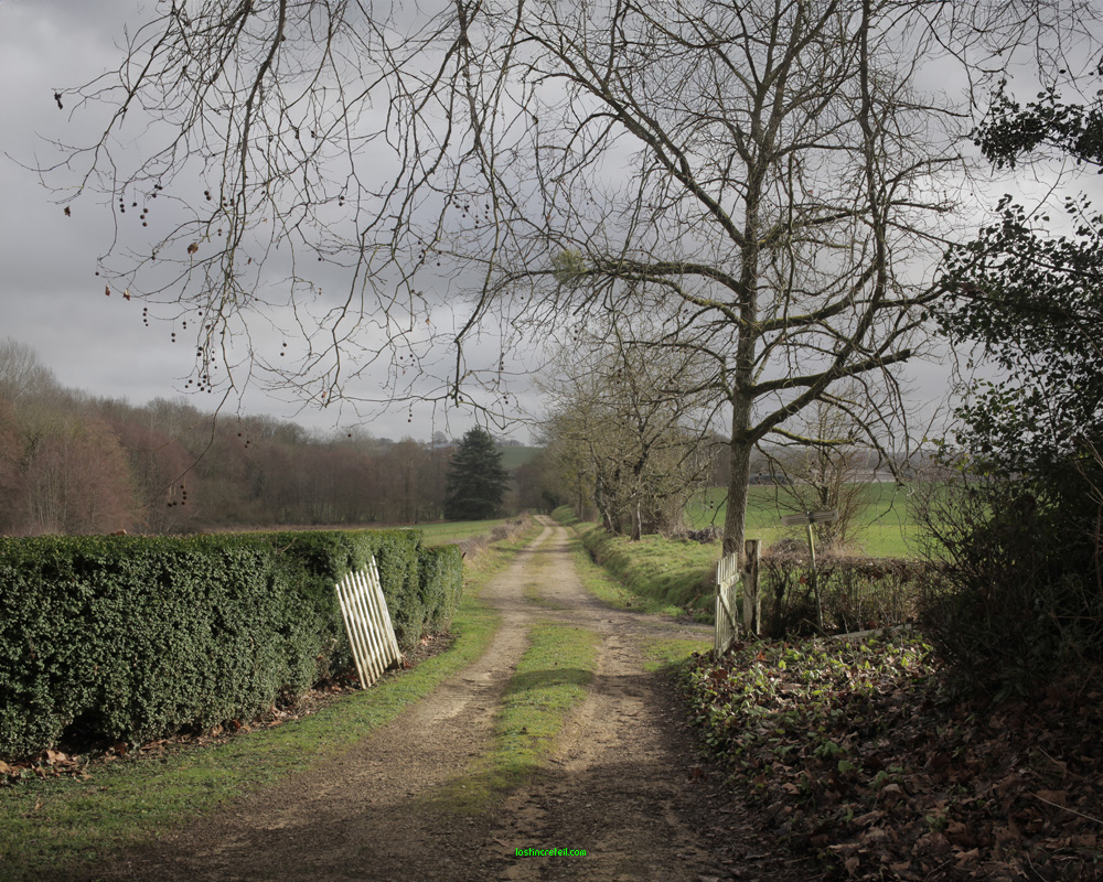 Lost in the countryside