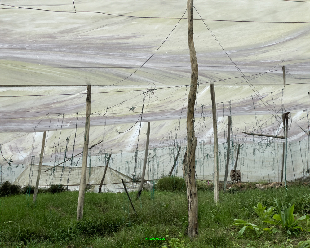 Plastic sky - Boyacá, Colombia