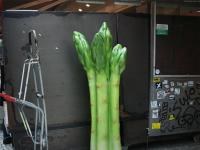 Asparagus, Paris