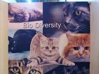 Bio-diversity