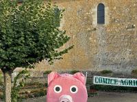 Pig of the Comice Agricole, Courgenard, France
