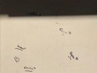 Enzo, Louana, Emily and Ryan