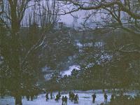 Sledging, Buttes-Chaumont park, Paris, 2012