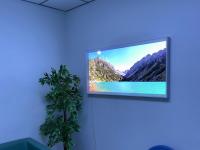 Landscape, Necker hospital, Paris