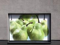 Pears, Kassel, Germany