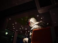New Year's Eve in a RER train from Paris to a northern suburb