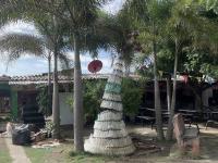 Paso Nuevo - Colombia