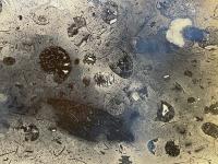 Museo geologico - Villa de Leyva - Colombia