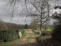 Lost in the countryside