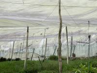 Plastic sky - Boyacá, Colombia