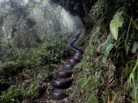 Colombia